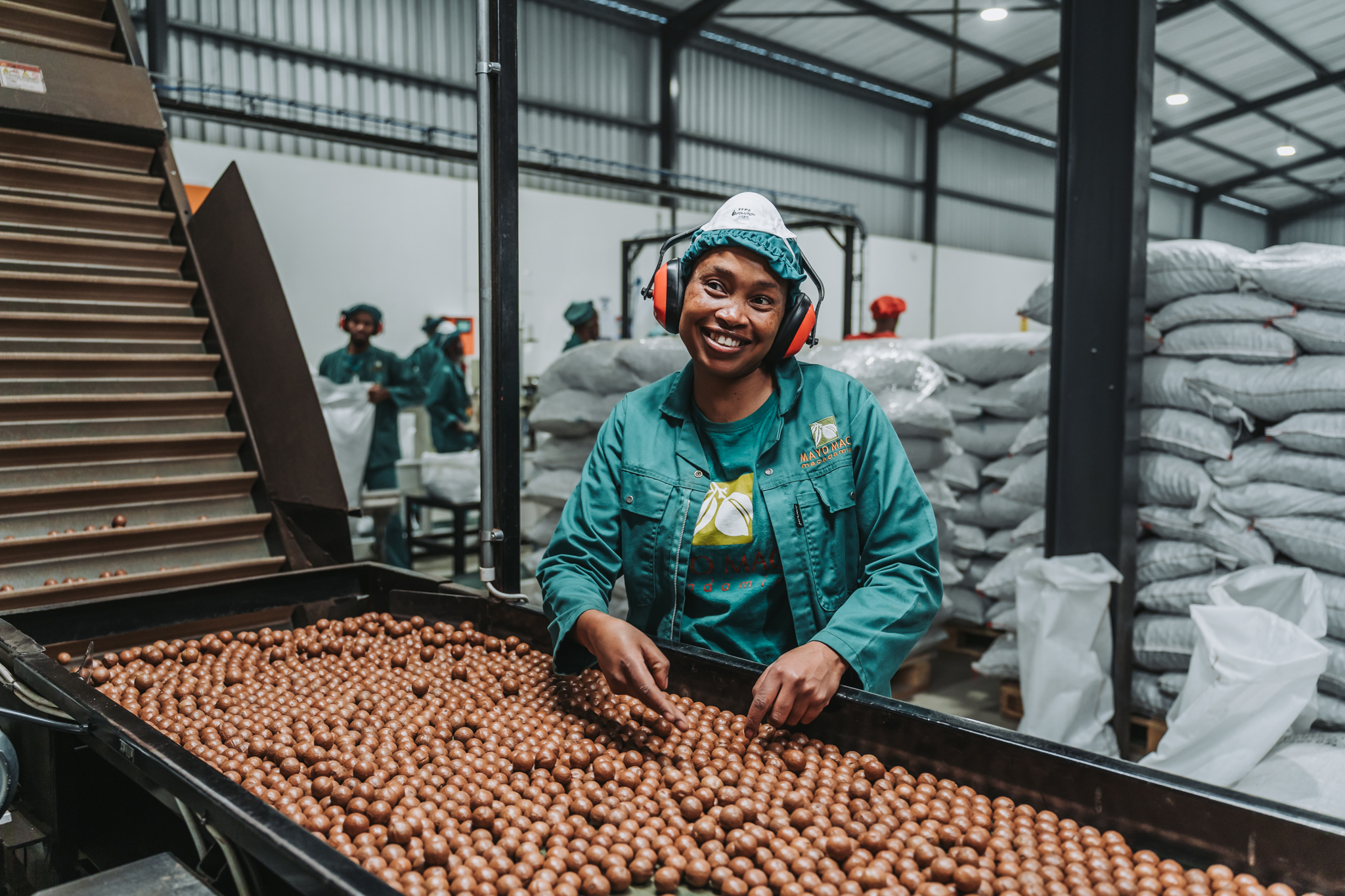 Mayo Macs macadamia industry photograph MM-104 - edit