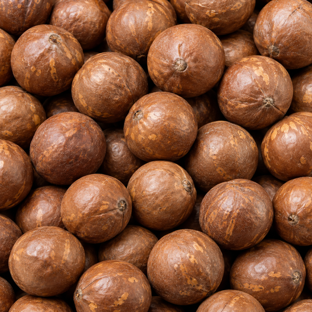 Nut-In-Shell