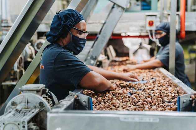 Mayo Macs macadamia industry photograph MM-1